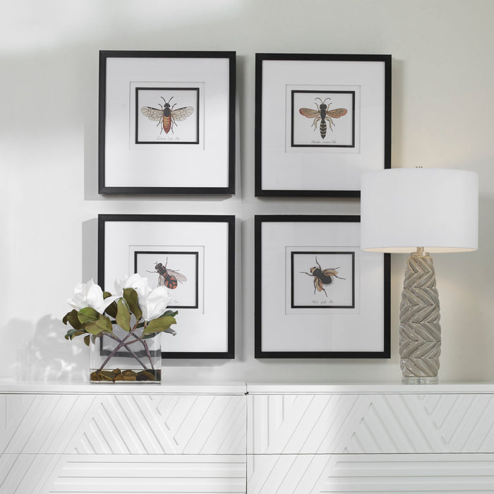 Anthophila - Framed Prints (Set of 4) - Black