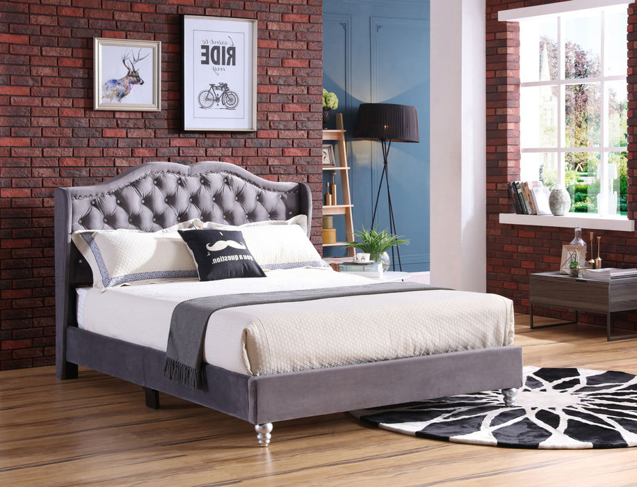 Upholstered Velvet Bed Transitional