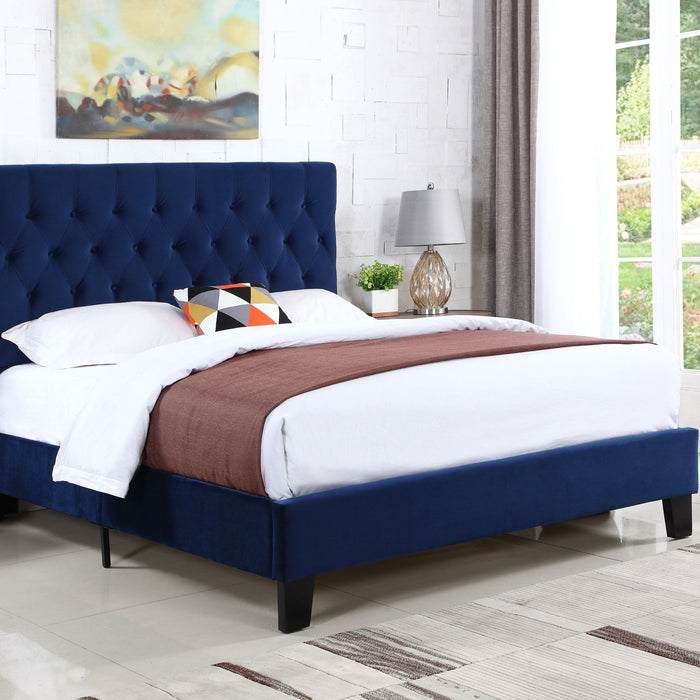 Amelia - Upholstered King Bed - Navy