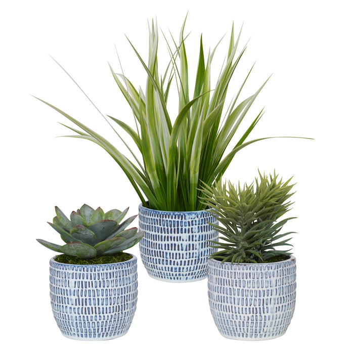 Puebla - Greenery In Blue & White Pots (Set of 3) - Green