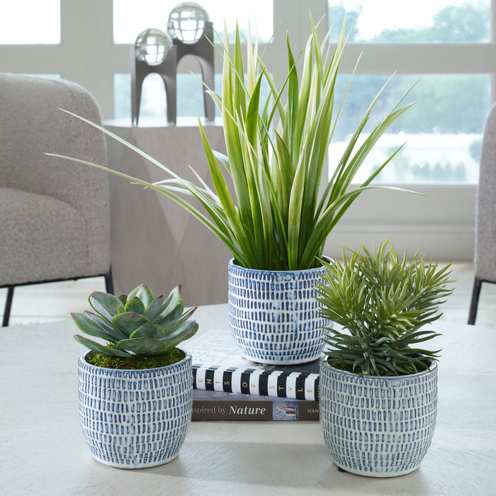 Puebla - Greenery In Blue & White Pots (Set of 3) - Green