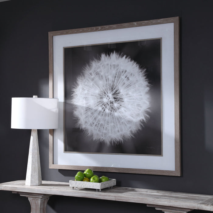 Dandelion Seedhead - Framed Print - Black