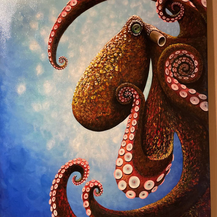 Octopus