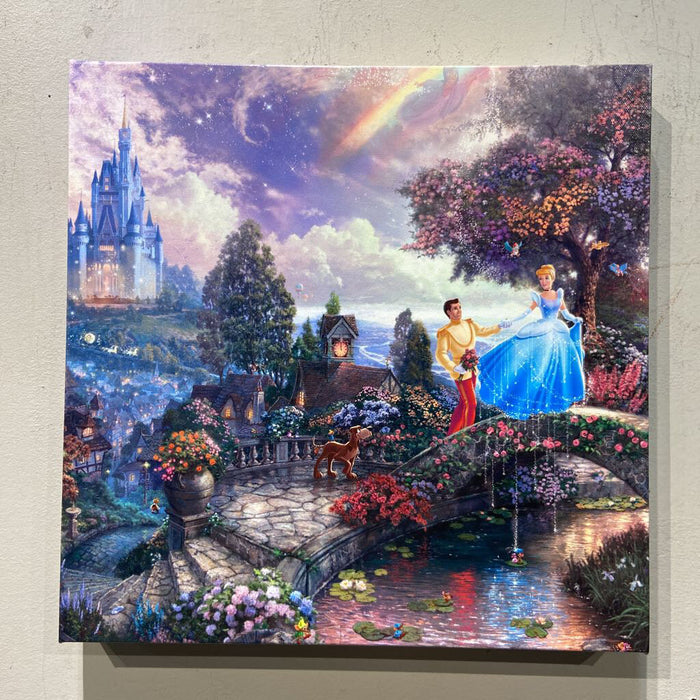 Cinderella Canvas Artwork -T.K (KT)