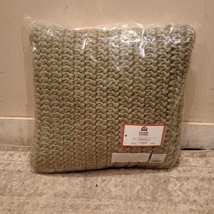 20" x 20" Decorative Pillow (LC)