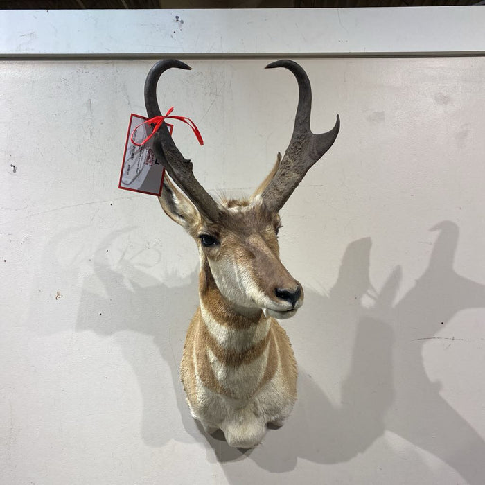 Antelope Mount