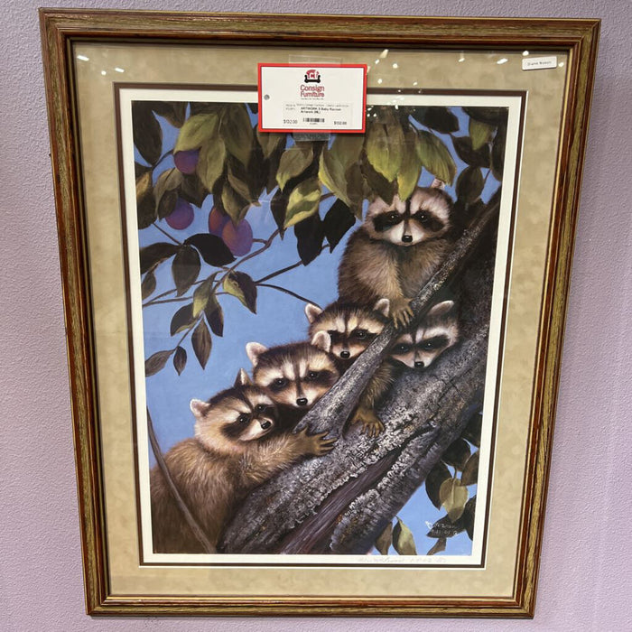 5 Baby Racoon Artwork