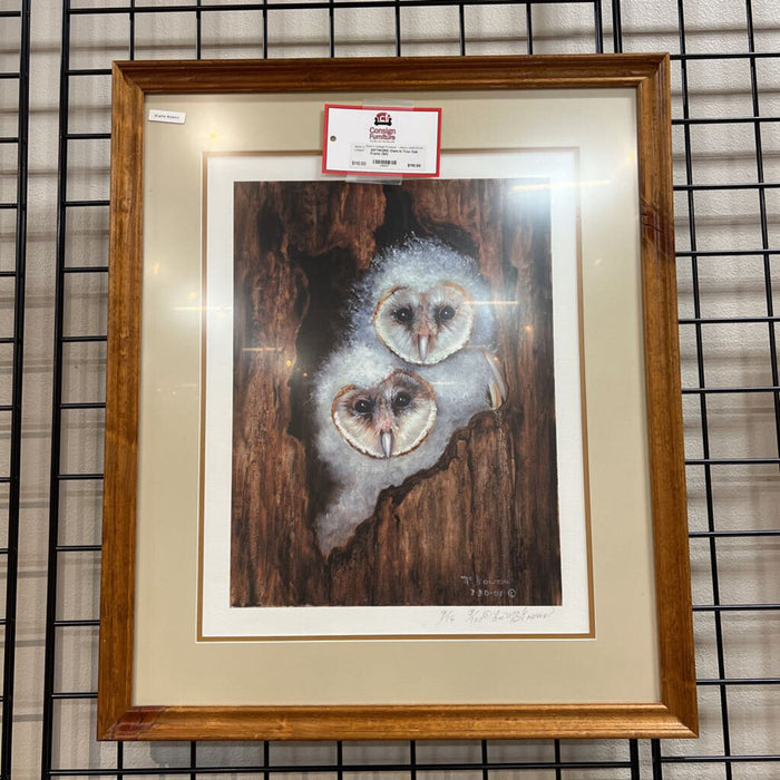 Owls In Tree Oak Frame