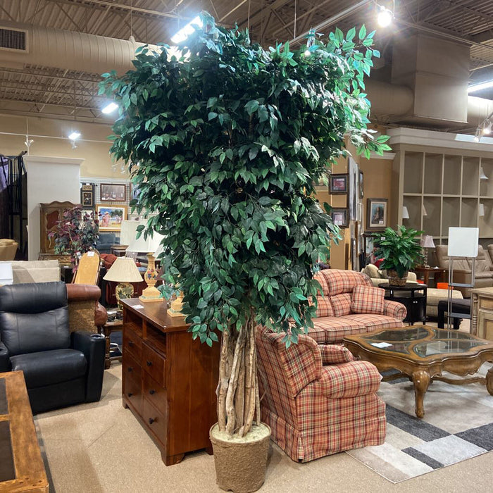 Large Fig Faux Tree