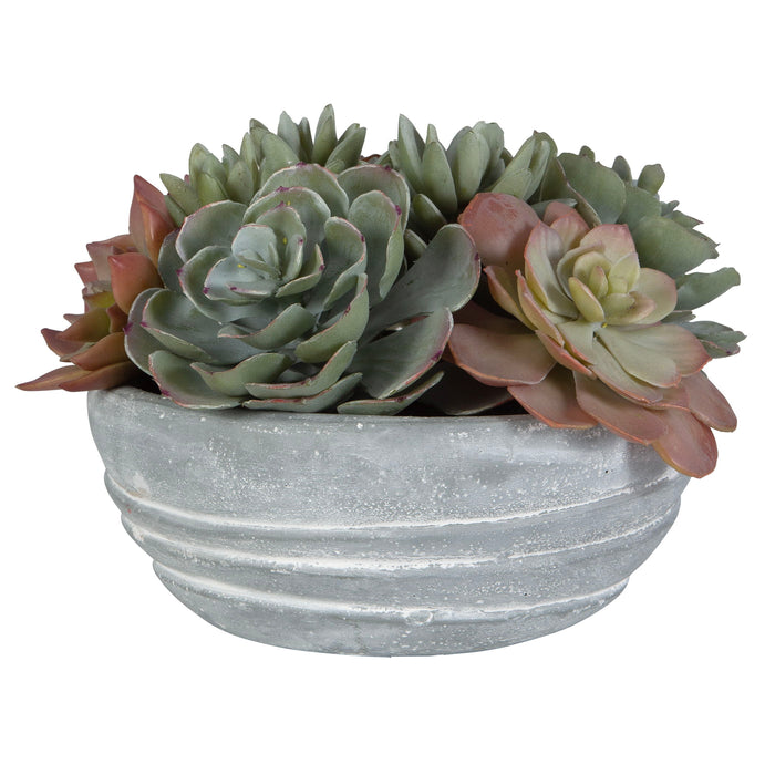 Peoria - Succulent Accent - Gray