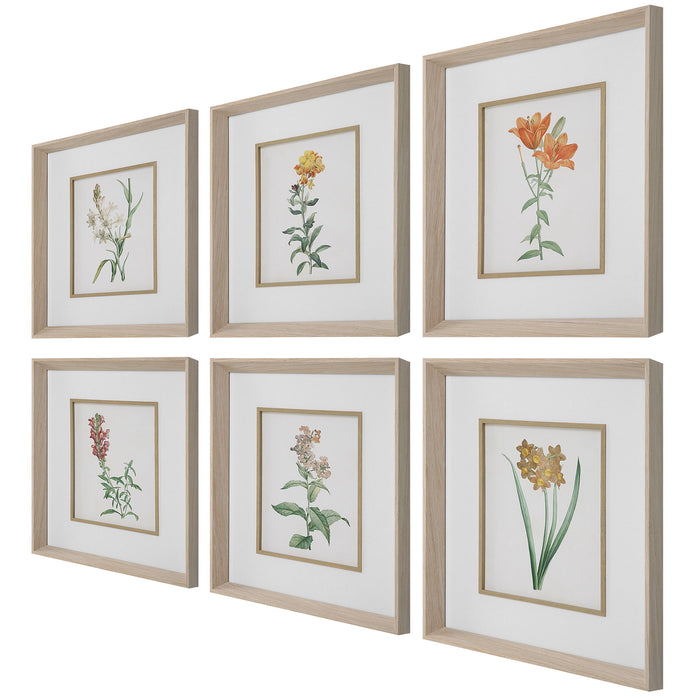 Classic Botanicals - Framed Prints (Set of 6) - Green