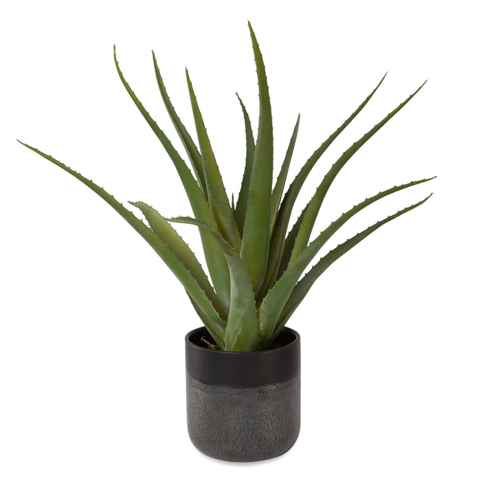 Tucson - Aloe Planter - Black