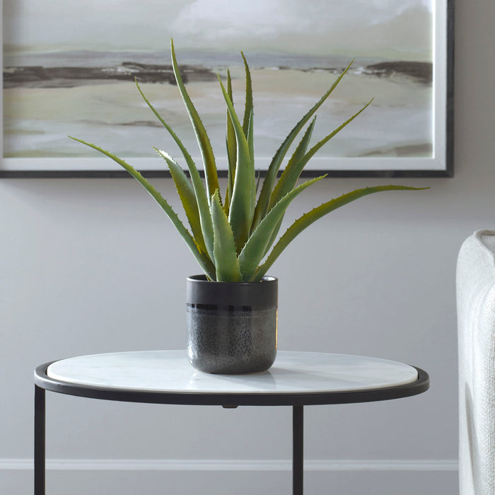 Tucson - Aloe Planter - Black