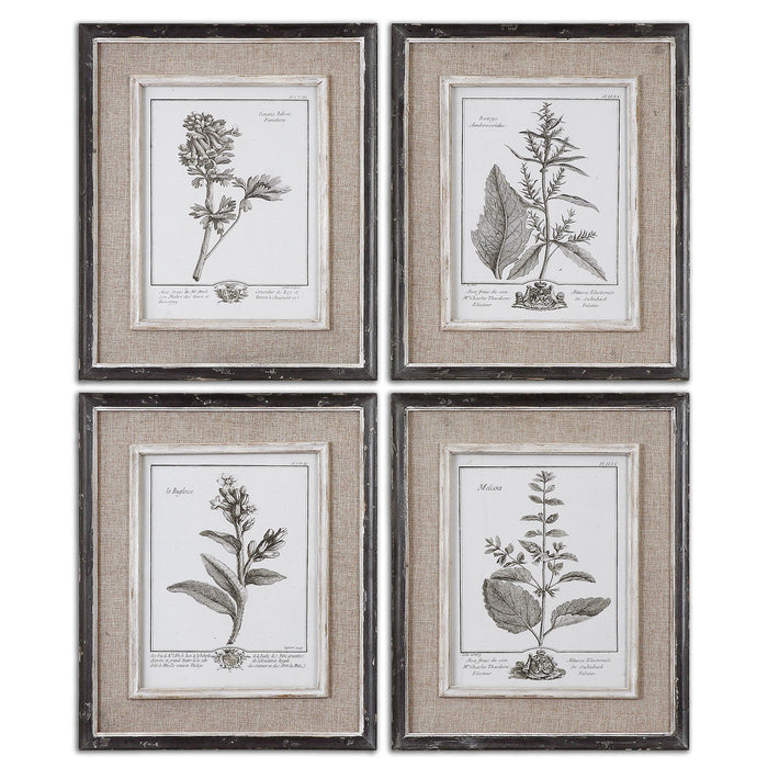 Casual Grey Study - Framed Art (Set of 4) - Beige