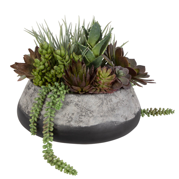 Yuma - Succulent Centerpiece - Gray