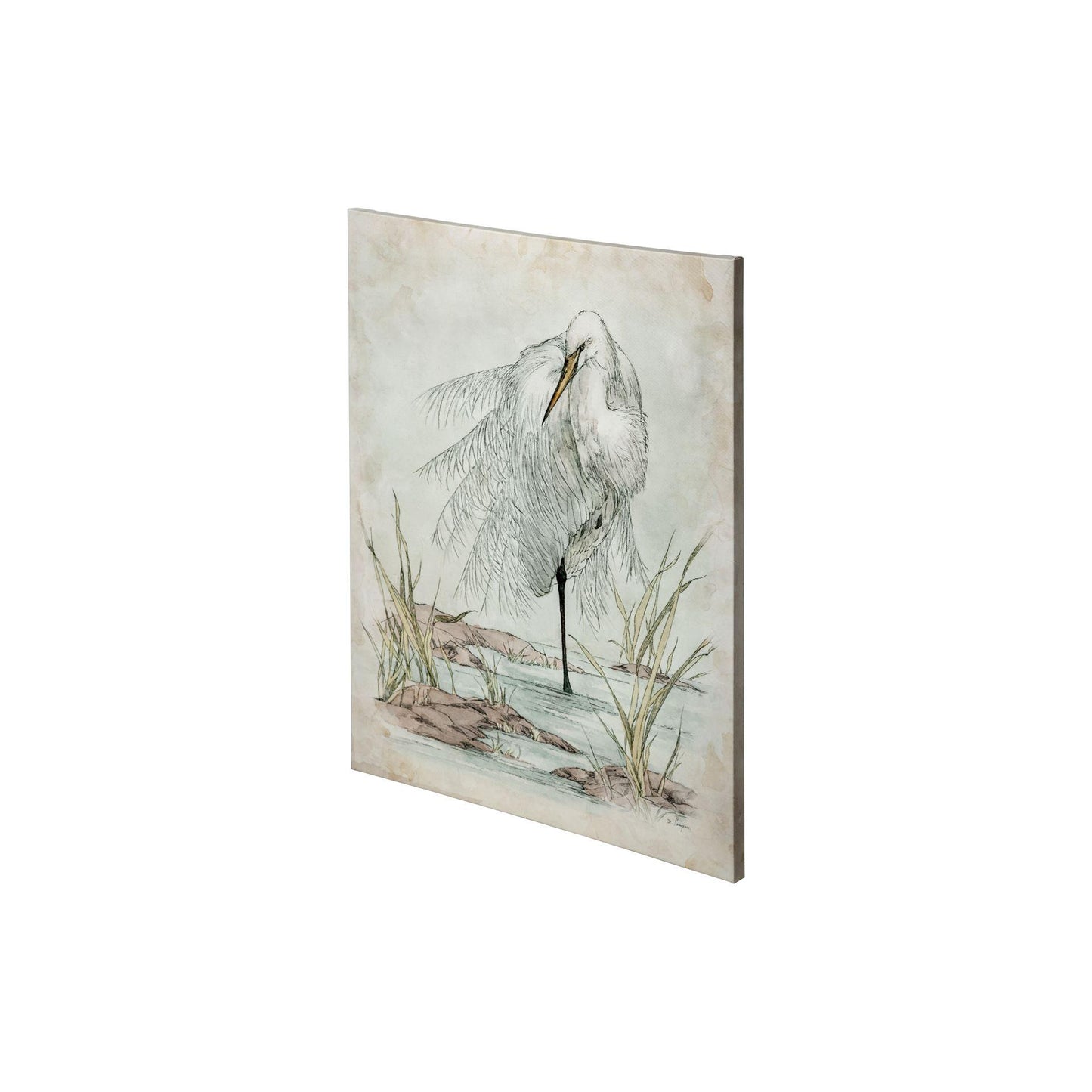 White Egret (27 x 36)
